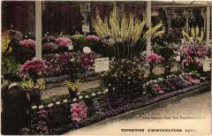Paris Expo horticulture
