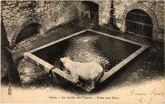 Paris 5e Jardin des Plantes Fosse aux ours à Paris 5e