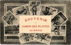 Paris 5e Jardin des Plantes -
																					75005 Paris 5e
																			