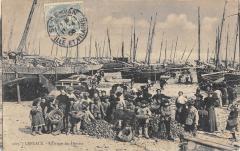 Cancale - Le Triage Des Huitres à Cancale