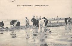 Deauville - Pecheurs D'Equilles -
																					14800 Deauville
																			