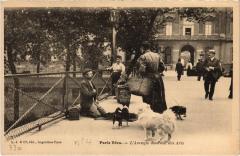 Paris Vecu. l'Aveugle au Pont des Arts
