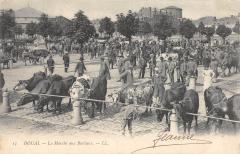 Douai - Le Marche Aux Bestiaux à Douai