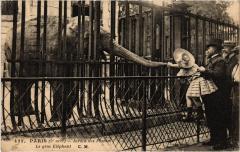Paris 5e Jardin des Plantes gros elephant à Paris 5e