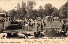 Carte postale ancienne Jardin d'acclimatation du Bois de Boulogne - La grande pelouse des Exhibitions
                                                                     à Neuilly-sur-Seine
                                