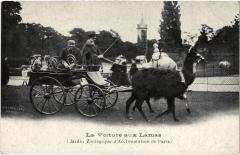 Carte postale ancienne La Voiture aux Lamas - Jardin Zoologique d'Acclimatation de Paris
                                                                     à Neuilly-sur-Seine
                                