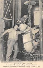 Saint Etienne - Descente D'Un Cheval Dans La Mine -
																					42230 Saint-Étienne
																			