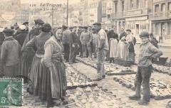Le Treport - Vente A La Criee -
																					76470 Le Tréport
																			