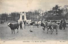 Chartres - Le Marche Aux Vaches à Chartres