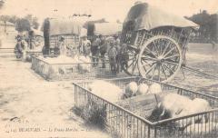 Beauvais - Le Franc Marche -
																					60000 Beauvais
																			
