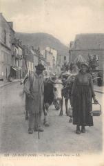 Le Mont Dore - Types Du Mont Dore à Mont-Dore