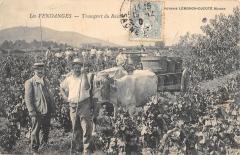 Les Vendanges - Transport Du Raisin