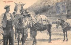 Les Pyrenees - Conducteur De Mulets