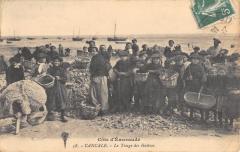 Cancale - Le Triage Des Huitres à Cancale