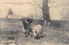 Recherche De La Truffe En Perigord - Elle Est Trouvee -
													24 Dordogne
												