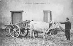 Lourdes - Attelage Pyreneen -
																					65100 Lourdes
																			