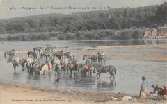 Perpignan - Le 1er Hussards A L'Abreuvoir Sur Les Rives De La Tet -
																					66100 Perpignan
																			