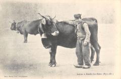 Laitier A Amelie Les Bains -
													66 Pyrénées Orientales
												