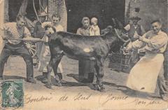 Bonsoir De Sens - Yonne -
													89 Yonne
												