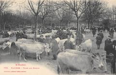 Pamiers - Foire Aux Boeufs -
																					09100 Pamiers
																			