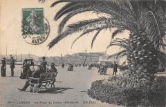Cannes - La Plage Du Casino - Palmiers -
																					06150 Cannes
																			
