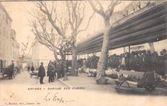 Antibes - Le Marche Aux Fleurs -
																					06600 Antibes
																			