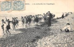 Mers - A La Recherche Des Coquillages -
													80 Somme
												