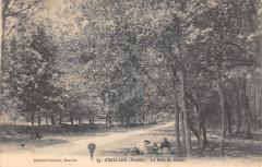 Challans - Le Bois Du Breuil à Challans