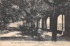 Les Sables D'Olonne - Le Jardin Public Aspectant La Mer -
																					85100 Les Sables-d'Olonne
																			