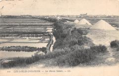 Les Sables D'Olonne - Les Marais Salants -
																					85100 Les Sables-d'Olonne
																			