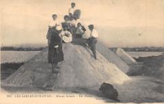 Les Sables D'Olonne - Marais Salants - Un Mulon -
																					85100 Les Sables-d'Olonne
																			