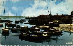 Le Crotoy Club Nautique et le Port -
																					80550 Le Crotoy
																			