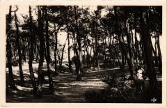 Cayeux la foret