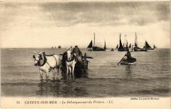 Cayeux debarquement du poisson
