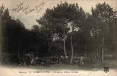 Cayeux Bois de Sapin