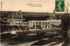 Bois de Cise cote des Mouettes -
													80 Somme
												