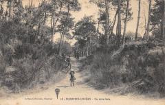 Saint Brevin L'Ocean - Un Sous Bois -
													44 Loire Atlantique
												