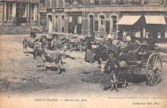 Berck Plage - Marche Aux Anes -
																					62600 Berck
																			
