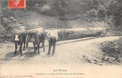 Vosges - Transport Du Bois Aux Alentours De Plombieres