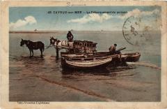 Cayeux Debarquement du Poisson