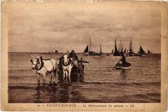 Cayeux le debarquement du poisson