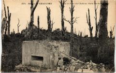 Ruines de Chaulnes dans le parc du chateau -
																					80320 Chaulnes
																			