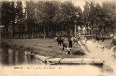 Amiens vue prise au Parc de la Hotoie à Amiens