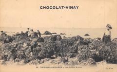 Trouville Sur Mer - Les Roches Noires -
																					14360 Trouville-sur-Mer
																			