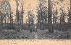 Foret De Saint Germain En Laye - Allee De La Mare Aux Canes -
																					78100 Saint-Germain-en-Laye
																			