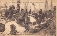 Boulogne Sur Mer - Sur Les Quais - Le Triage Du Poisson -
																					62200 Boulogne-sur-Mer
																			