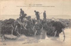 Le Treport - Dans Les Roches - Les Crabes N'Ont Qu'A Bien Se Tenir -
																					76470 Le Tréport
																			