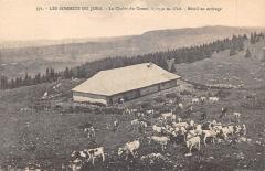 Les Sommets Du Jura - Le Chalet Du Crozat - Betail En Estivage