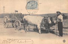 Attlage Bourbonnais Des Environs De Vichy - Attelage De Boeufs -
																					03200 Vichy
																			