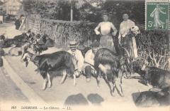 Lourdes - Les Chevres -
																					65100 Lourdes
																			